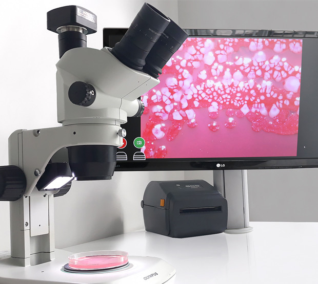 Фотографии